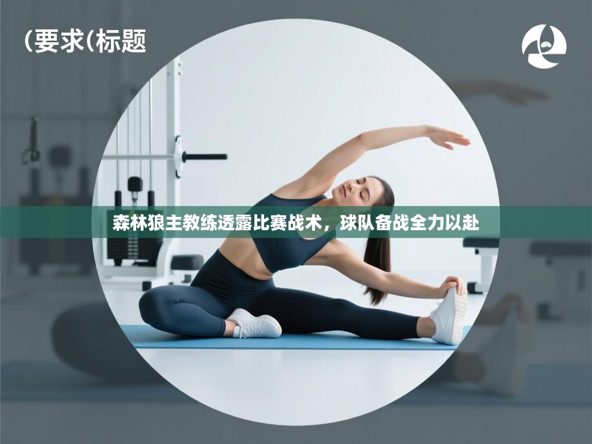 森林狼主教练透露比赛战术,球队备战全力以赴 第2张