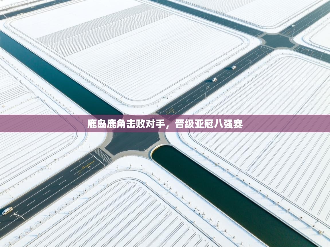 鹿岛鹿角击败对手，晋级亚冠八强赛  第1张